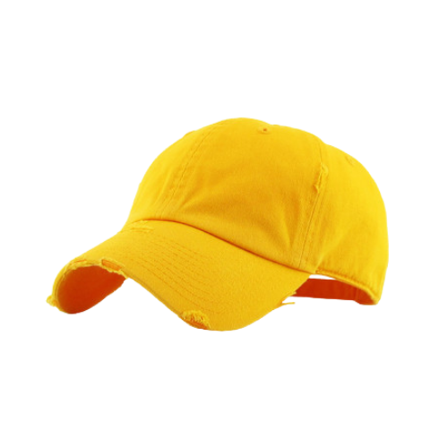 Vintage Dad Hat Spring Sales