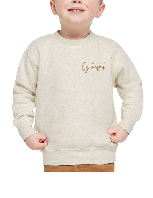 Toddler Fleece Crewneck Sweatshirt